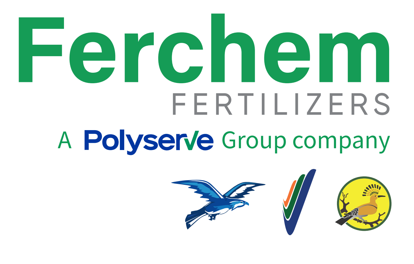 Ferchem
