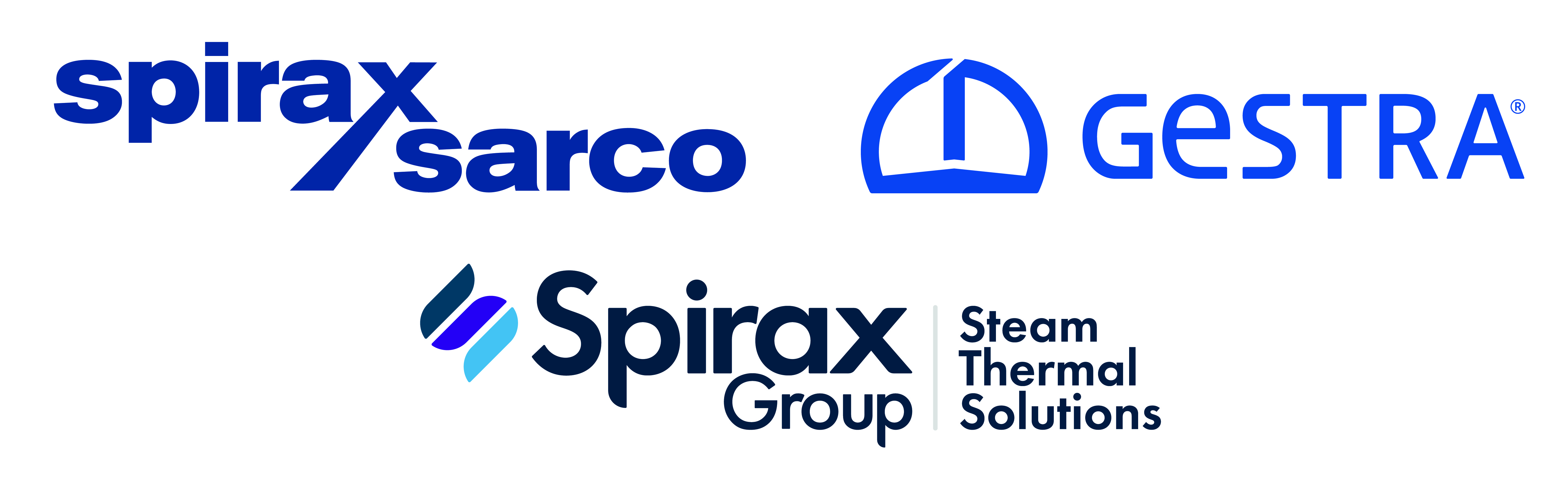 Spirax Sarco Egypt